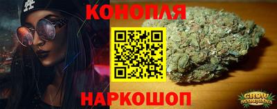 jwh Ставрополь