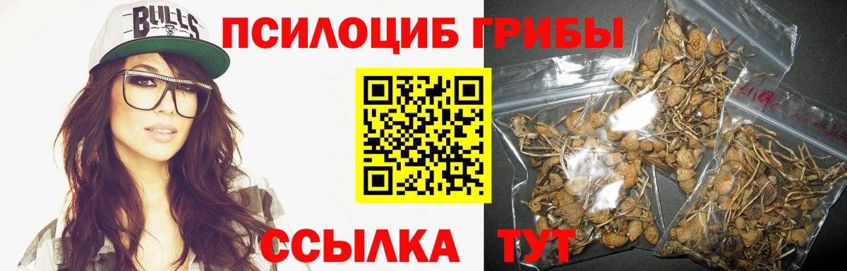 Нурлат  Псилоцибиновые грибы Cubensis  Вход с VPN 