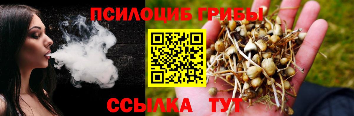 Галлюциногенные грибы прущие грибы Нурлат